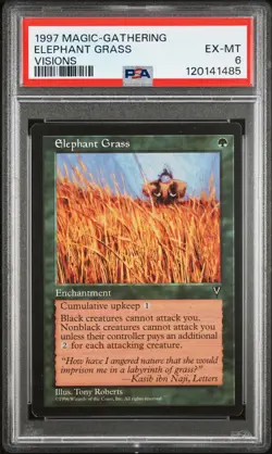 1997 MTG VISIONS ELEPHANT GRASS PSA 6 - Image 1