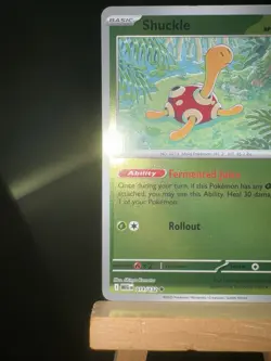 SHUCKLE - 11/132 Mega Evolution NM - Reverse Holo Uncommon - Pokemon TCG Card - Image 5