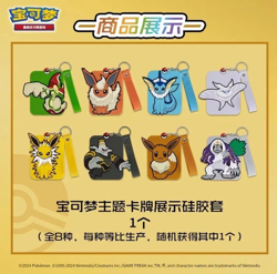 Pokemon TCG S-Chinese Nine Colors Gathering Card Frame Case Gift Box Eevee 2024 - Image 4