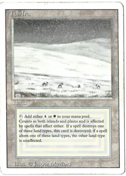 Tundra Revised - Reserved List MTG Magic The Gathering - Image 1
