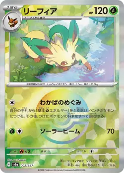 Pokemon Card Eevee Evolution Poke Ball Complete Japanese Terastal Festival ex - Image 2