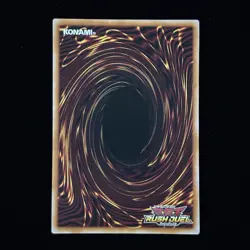 Dark Paladin RD/5TH1-JP002 Over Rush Rare Japanese Yu-Gi-Oh! Rush Duel Konami - Image 3