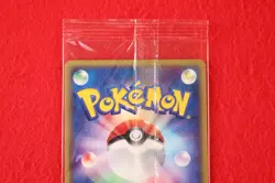 *Sealed!!* Pokemon Card Pichu 045/P E series Non-Holo JR 2002 Promo Japan #2960 - Image 4