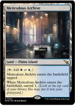 Meticulous Archive (non-foil) - Image 1