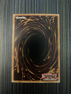 Shadowslayer - YSDJ-EN016 - 1st Edition - NM/LP- Common - YuGiOh - Image 2