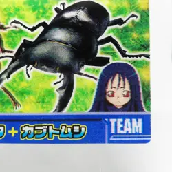 04 Stag Beetle rhinoceros 3D Plate Card The King of Beetle Mushiking NAGATANIEN - Image 5