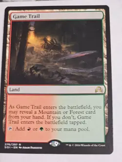 MTG - Game Trail - Shadows over Innistrad - Image 1