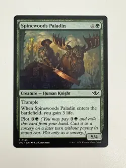 Spinewoods Paladin MTG Magic the Gathering Card NM Near Mint OTJ - Image 1