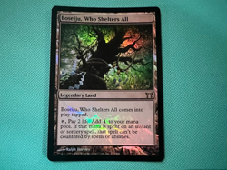Foil - Boseiju, Who Shelters All - Champions of Kamigawa - MTG - Magic - Foil - Image 2