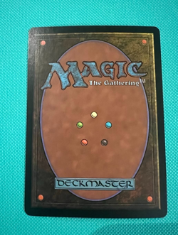 Foil - Boseiju, Who Shelters All - Champions of Kamigawa - MTG - Magic - Foil - Image 3