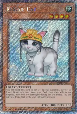 Yugioh 25th Anniversary Rarity Collection II RA02 Platinum Secret Rare 1st MINT - Image 2