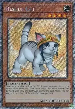Yugioh 25th Anniversary Rarity Collection II RA02 Platinum Secret Rare 1st MINT - Image 3