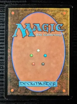 Sachi Daughter of Seshiro [Champions of Kamigawa] - MtG Magic the Gathering - NM - Image 2