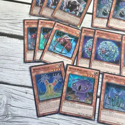 Yugioh Card Lot - Worm Deck Staples 20+ Cards - Worm Queen, Victory, Xex & More - Image 5