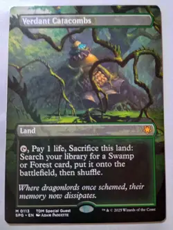 Verdant Catacombs - Special Guest | Tarkir: Dragonstorm | NM | MTG - Image 1