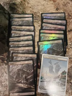 Mtg Wastes Land Lot - Image 1