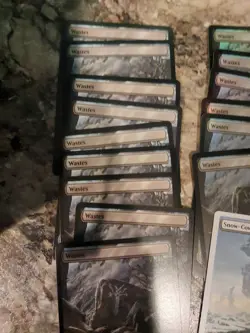 Mtg Wastes Land Lot - Image 2