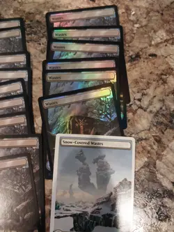 Mtg Wastes Land Lot - Image 3