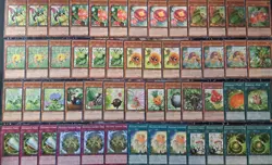 Yugioh! NATURIA mega deck Core 52 Cards! - Image 1