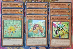Yugioh! NATURIA mega deck Core 52 Cards! - Image 2