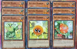 Yugioh! NATURIA mega deck Core 52 Cards! - Image 3