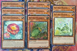 Yugioh! NATURIA mega deck Core 52 Cards! - Image 4