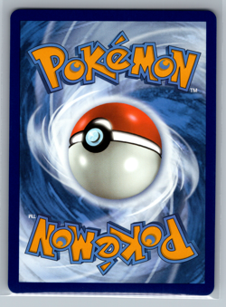 Gym Trainer - 191/195 - Pokemon Silver Tempest Sword & Shield Full Art Card NM - Image 2
