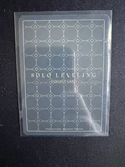 ☆HR SL1E-091 SUNG JINWOO Alt. Art PARALLEL Solo Leveling Mapniverse Card - Image 3