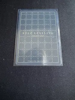 ☆HR SL1E-091 SUNG JINWOO Alt. Art PARALLEL Solo Leveling Mapniverse Card - Image 4