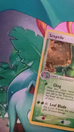 Sceptile 4/17 Holo - POP Series 1 - Damaged English Pokemon Card - Image 4