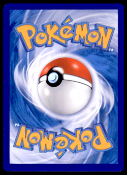 Pokemon TCG - Pikachu - SWSH234 - SWSH: Sword & Shield Promo Cards - Image 2