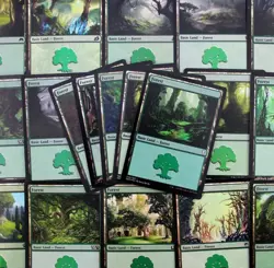 Magic: the Gathering Basic Lands 1,000 Forest Cards 636996769180 - Image 1