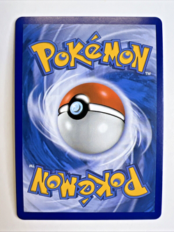 Rillaboom V SWSH014 - Black Star Promo - Pokemon Card TCG - NM/LP - Image 2
