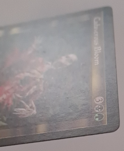 Cadaverous Bloom LP MTG Magic the Gathering Mirage - Image 3