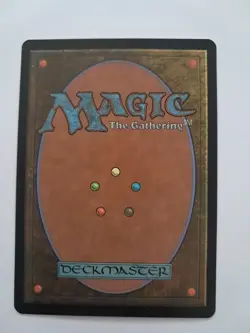 Forest LP/NM Euro Schwarzwald Germany Basic Land MTG Magic the Gathering - Image 2
