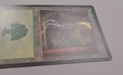 Forest LP/NM Euro Schwarzwald Germany Basic Land MTG Magic the Gathering - Image 3