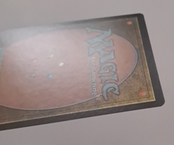 Forest LP/NM Euro Schwarzwald Germany Basic Land MTG Magic the Gathering - Image 4