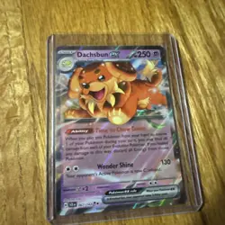 Pokemon TCG Dachsbun EX 67/142 Stellar Crown NM - Pack Fresh Card - Image 1