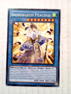 Shinobaron Peacock Rate-EN038 Yugioh Wind Raging Tempest Rare Level 8 Yu-Gi-Oh - Image 1