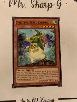 SPIRITUAL BEAST RAMPENGU - 1st EDITION SECE-EN029 ENGLISH Yu-Gi-Oh! CARD COMMON - Image 4