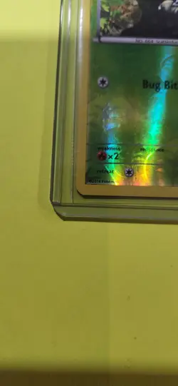 Pokemon TCG Scatterbug XY Base Set 15/146 Reverse Holo Common Card NM - Image 2