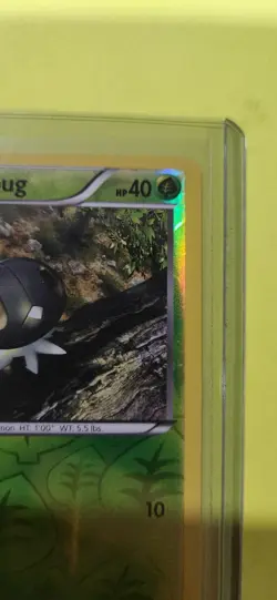 Pokemon TCG Scatterbug XY Base Set 15/146 Reverse Holo Common Card NM - Image 4