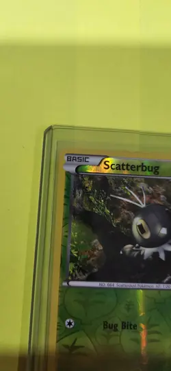 Pokemon TCG Scatterbug XY Base Set 15/146 Reverse Holo Common Card NM - Image 5