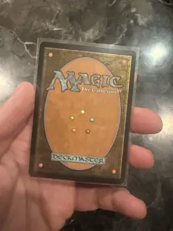 Bloom Tender Eventide Regular - Image 2