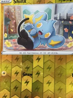 SHIPS SAME DAY Pokemon Card Shinx 049/172 Reverse Holo Lightning Type - Image 2