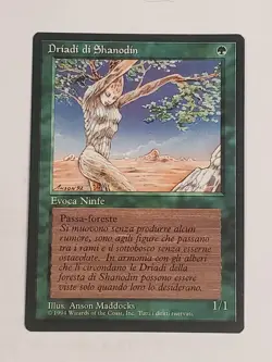 MTG Shanodin Dryads (Italian Revised (BB)/Green/C) - BGM - Image 1