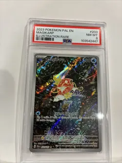 MAGIKARP 2023 POKEMON PALDEA EVOLVED ILLUSTRATION RARE 203/193 PSA 8 - Image 3