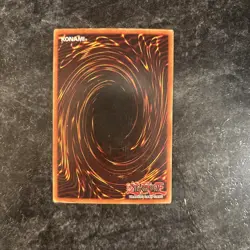 Yugioh TCG - 1x Blue Eyes Toon Dragon - SDP-020 LP, 1st Edition - Vintage Common - Image 4