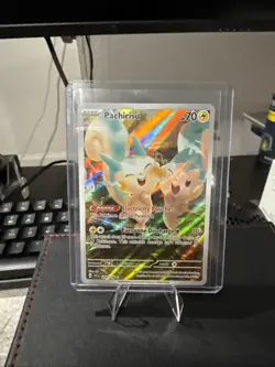 Pachirisu 208/198 Illustration Rare Scarlet & Violet Set Pokemon Card NM - Image 1