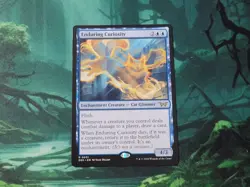 MTG Duskmourn - Enduring Curiosity - Rare - Near Mint - Image 1